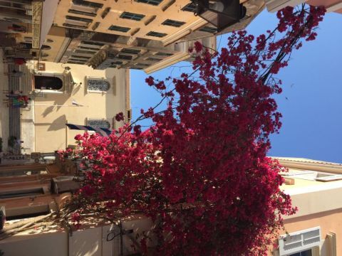 History and Culture Walking Tour 3