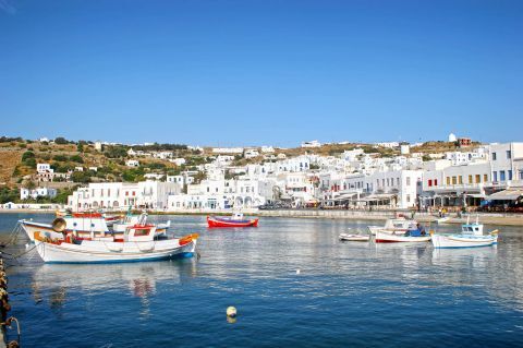 Day trip to Mykonos island with 6 hours free time 2