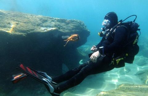 Scuba diving in Heraklion 3