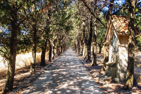 Valley of the butterflies and Filerimos hill 3