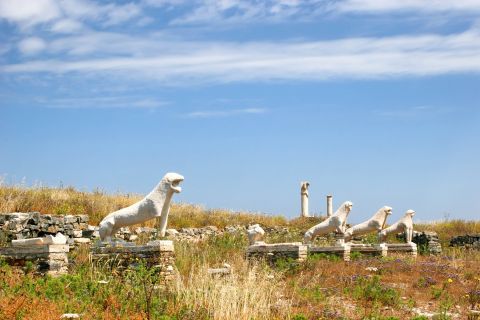 Tour to Delos & Mykonos from Naxos 2