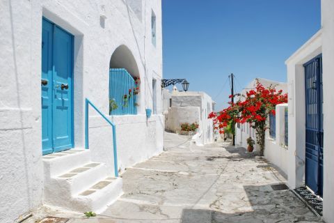 Best of Milos by Bus 2