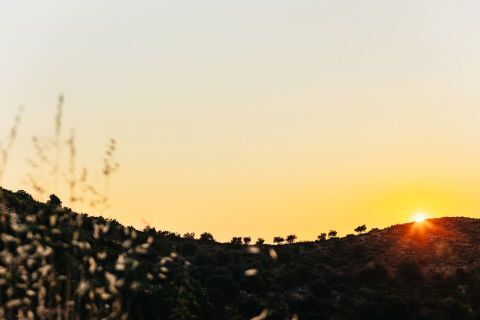 Off road tour at sunset with wine tasting 3