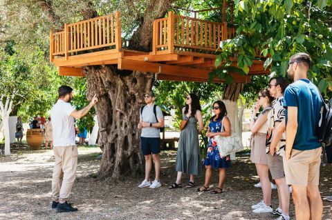 Wine and olive oil tasting tour with snacks 1