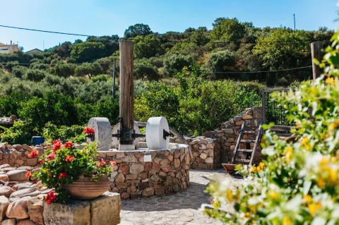 Wine and olive oil tasting tour with snacks 3