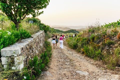 Off road tour at sunset with wine tasting 1