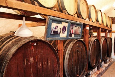 Wine Tasting Tours